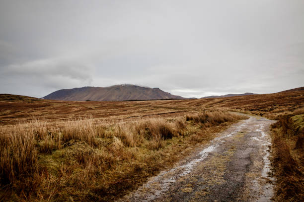 istock Hiking trail in the rain 1083805420