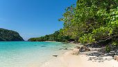 strand.jpg?b=1&s=170x170&k=20&c=4N21ZveEXa9_iR7bp3GmAh8OD_89Tu8dzoxDbaKiIBw=