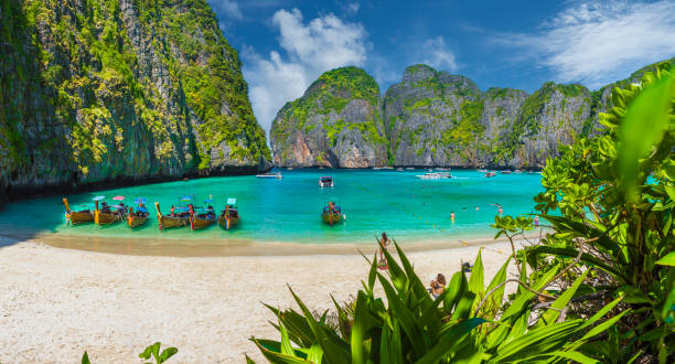 Maya Bay on Phi Phi Islands, Thailand Amazing Maya Bay on Phi Phi Islands, Thailand phi phi islands stock pictures, royalty-free photos & images