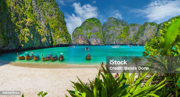Maya Bay On Phi Phi Islands Thailand Stock Photo - Download Image Now -  Thailand, Maya Bay, Beach - iStock