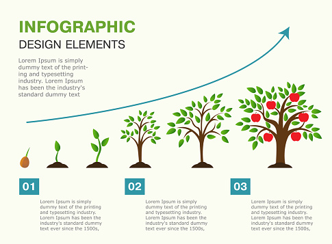 Infographic of planting tree. Seeds sprout in ground. Presentation template with the evolution of a tree. Vector illustration. Isolated on white background.