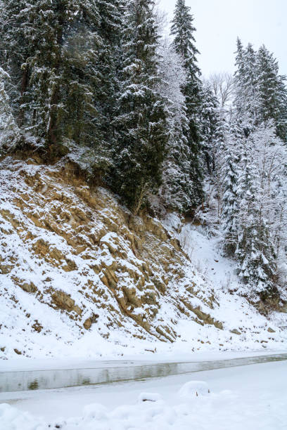 istock frozen mountain creek in spruce snowy forest, spruces on the rock 1083825838