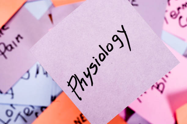 istock Medical Terminlology 1083829924