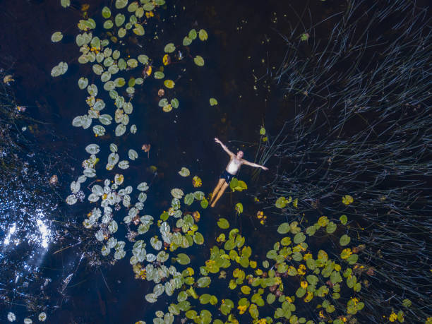 Aerial view of man swimming in a lake in summer, Roscommon, Ireland. stock photo