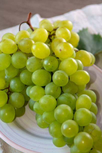 istock Ripe organic vine of white table seadless grape from Italy, new harvest 1083882934