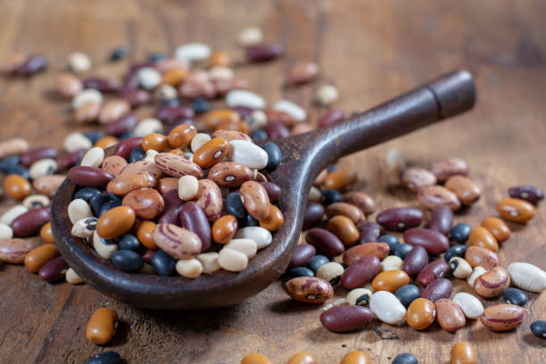 istock Traditional ingredient for Mexican food, mixed dried beans 1083882984