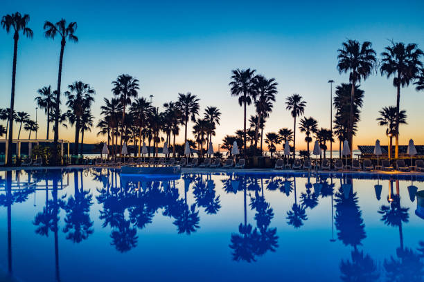 istock Reflection Of Palm Trees In Sea 1083890890