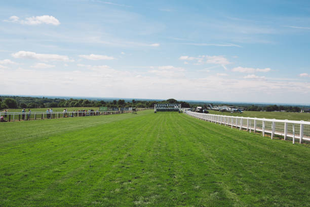 istock Scenic View Of Field Against Sky 1083894322