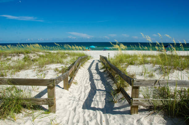 istock Gulf Islands National Seashore Beach Access Horizontal 1083898186