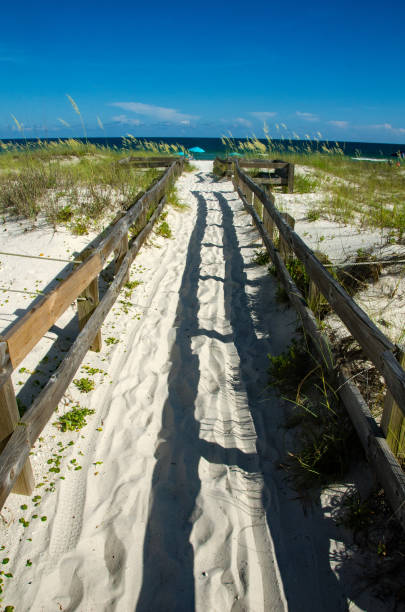 istock Gulf Islands National Seashore Beach Access Vertical 1083899740