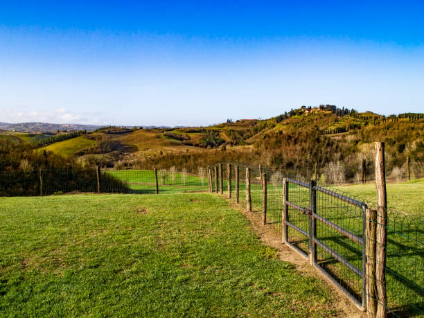 istock Hills in Montaione, Tuscany 1083906884