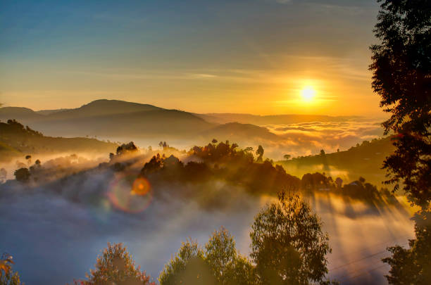 lever du soleil de l’ouganda avec les arbres, les collines, les ombres et les brouillards matinaux - african sunrise photos et images de collection