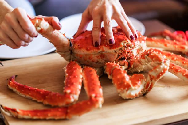 as mãos das mulheres está tendo perna de grande caranguejo cozido vermelho para alimentos - caranguejo real do alasca - fotografias e filmes do acervo