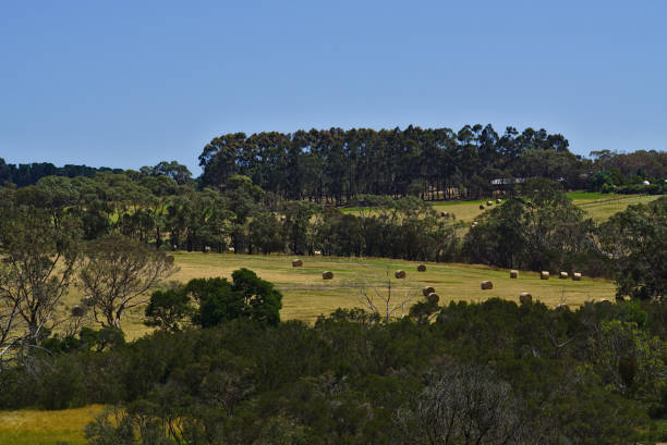 istock Distant view of bale of hays 1083919172