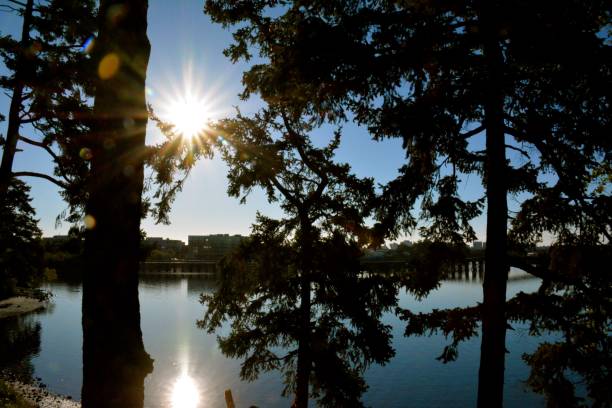 istock Galiano Island 1083921248