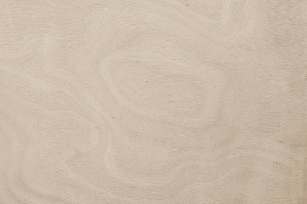 istock Real nature with plywood texture 1083921860