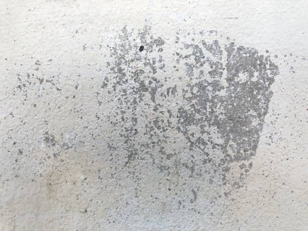 istock Dirty Stains and crack white wall 1083924614