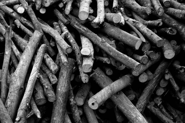 istock pile of brown old firewood for background 1083934072