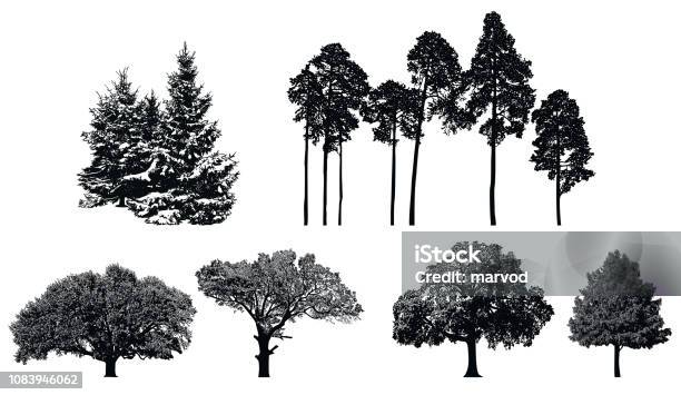 Trees Black Vector Silhouette Isolated On White Background Stock Illustration - Download Image Now