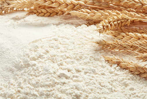 ripe golden ears of wheat on heap of white wheat flour