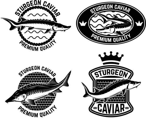ilustraciones, imágenes clip art, dibujos animados e iconos de stock de plantilla de etiqueta de caviar de esturión. elemento de diseño para el emblema, signo, etiqueta, cartel. - caviar