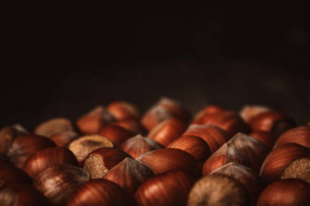close up view of shelled hazelnuts on black background