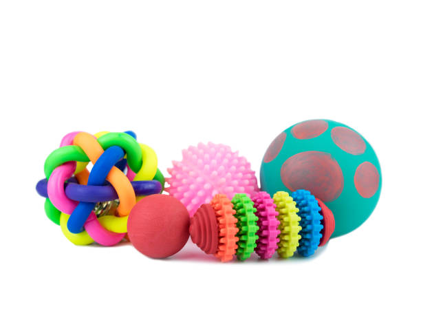 istock Pet accessories concept. Pet toys on isolated white background. 1083976592