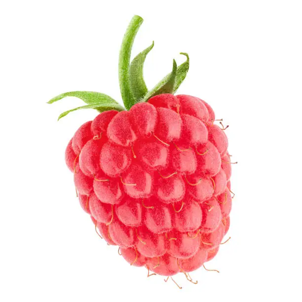 Raspberry isolated on white background, clipping path, full depth of field