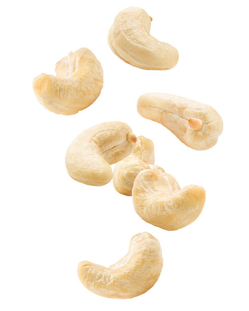 fallende cashew-nuss, die isoliert auf weißem hintergrund, clipping-pfad voller schärfentiefe - cashewnuss stock-fotos und bilder