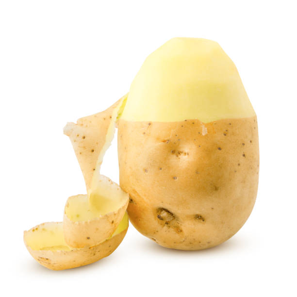 potato, isolated on white background, clipping path, full depth of field - potato skin imagens e fotografias de stock