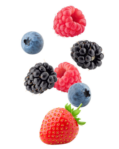 falling wild berries mix, strawberry, raspberry, blueberry, blackberry, isolated on white background, clipping path, full depth of field - fruta imagens e fotografias de stock
