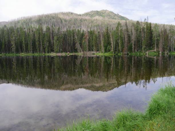 istock Sylvan Lake, Yellowstone National Park 1083988910