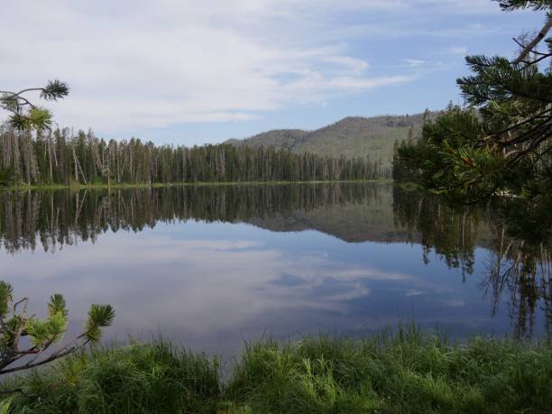 istock Sylvan Lake, Yellowstone National Park 1083988914