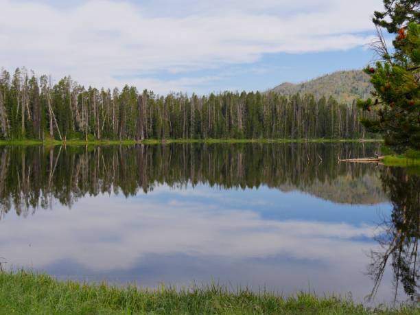 istock Sylvan Lake, Yellowstone National Park 1083989168