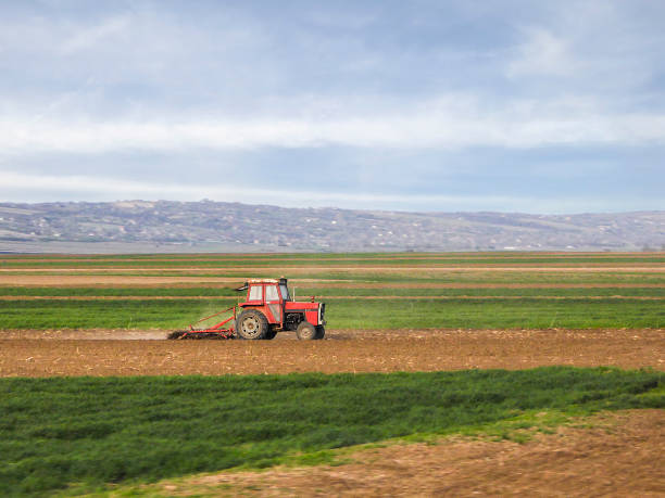 istock Cultivating tractor in the field 1083989682