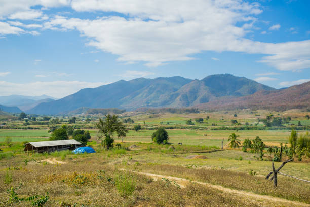 istock Wood hut in the rice field 1083992718