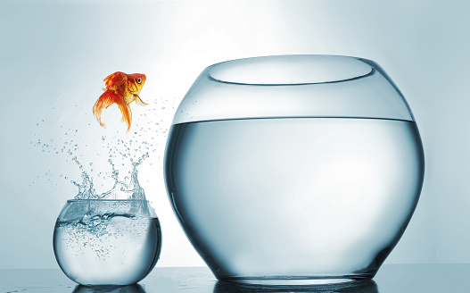 Salto al más alto nivel - goldfish saltando en un recipiente más grande - concepto de logro y aspiración. Esta es una ilustración de render 3d photo
