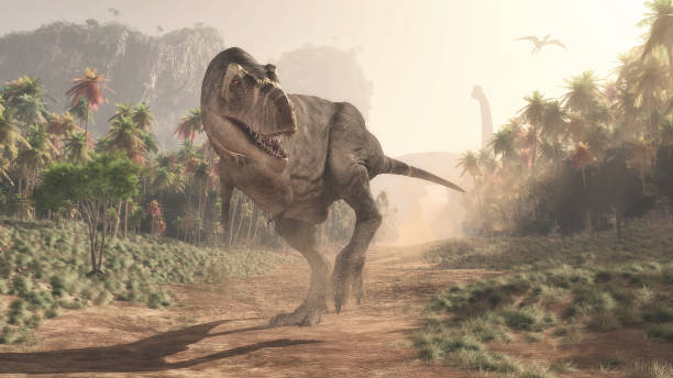 tyrannosaurus rex in de jungle. dit is een 3d render-illustratie - theropod stockfoto's en -beelden