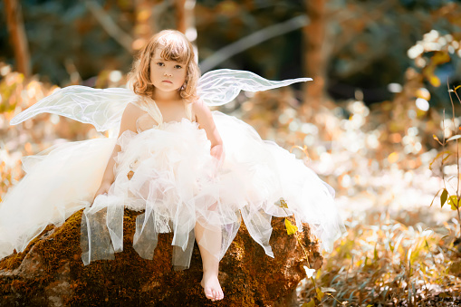 Fairytale concept. Little toddler girl wearing beautiful princess dress with fairy wings in the forest.