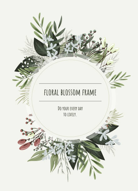 플로랄 프레임입니다. - wedding invitation rose flower floral pattern stock illustrations