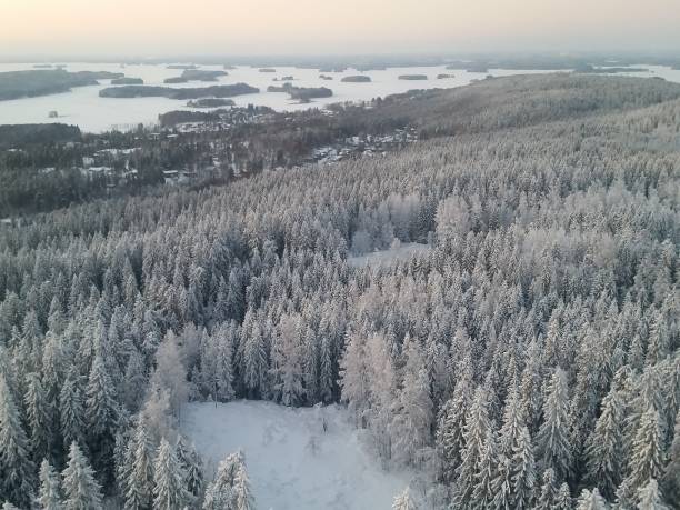 istock Woods and lakes in winter time 1084036134
