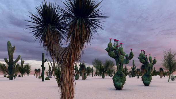 istock Sunset in the Desert with Cacti 1084036776