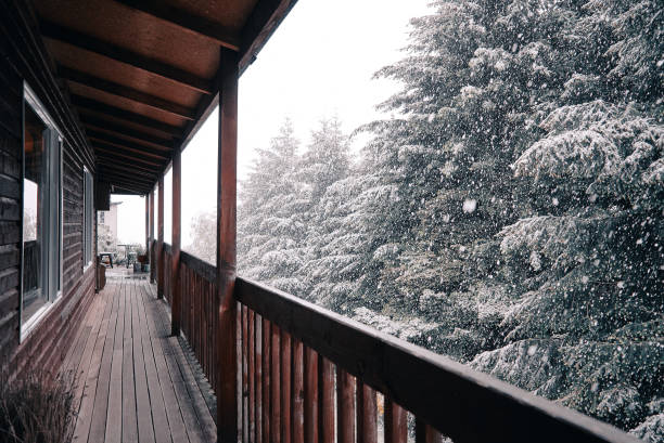 istock Snow In The Morning 1084041488