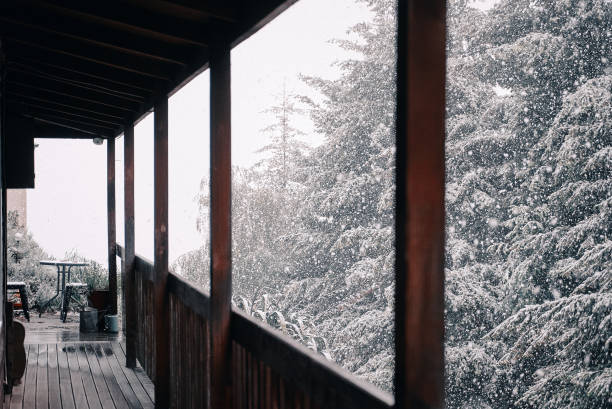 istock Snow In The Morning 1084041500