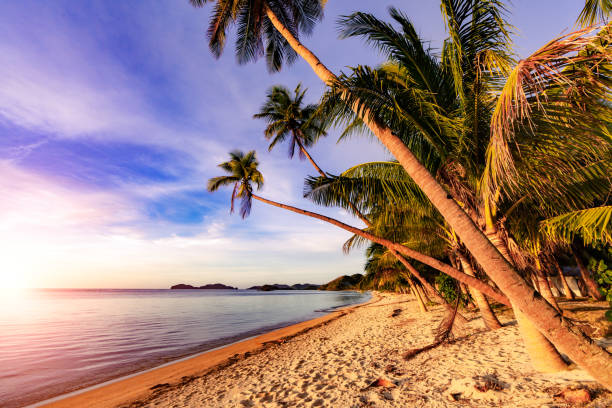 istock Natural Beach of Ocam Ocam 1084043868