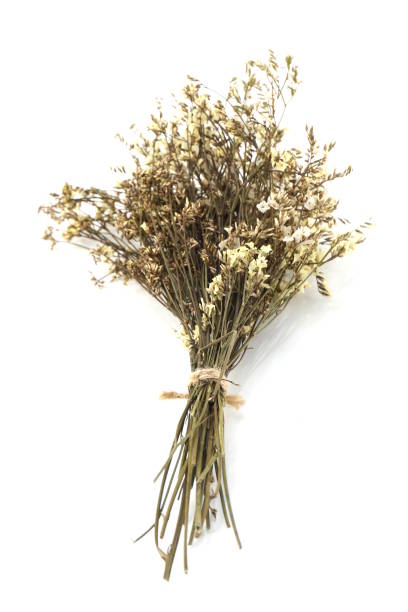 istock dried flower bouquet isolated on white background 1084043892