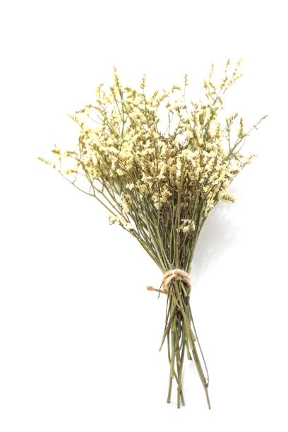 istock dried flower bouquet isolated on white background 1084043916