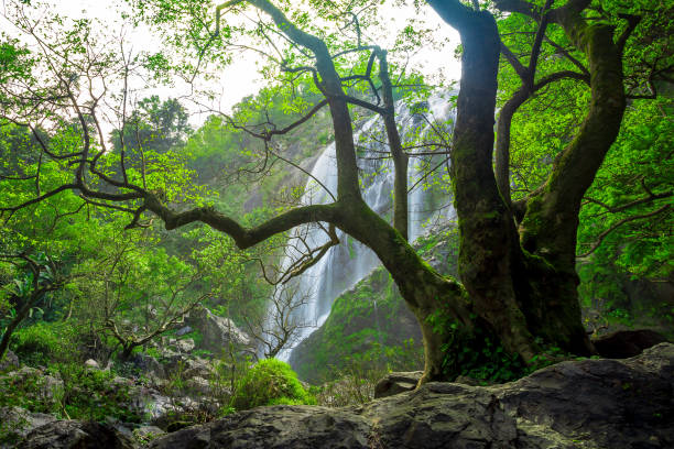 istock Beautiful waterfalls in Asia. 1084056904