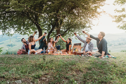 Friends toasting during a picnic at sunset in the countryside. medium group of millennials people under a tree.