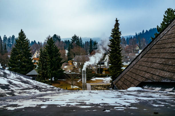 istock View Of Trees Along Road 1084067976
